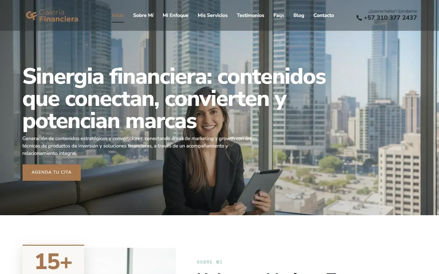 Financial portfolio — homepage of galeriafinanciera.com